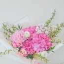 라라플레르 이미지