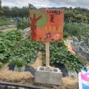 동영농장 이미지