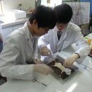 중산고등학교 이미지