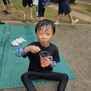 용인대홍익태권도장 이미지