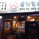 불막열삼 이미지