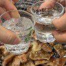 사가정두부 | 사가정맛집 막창장 주는 곳 찾았다 대구참막창 사가정점 내돈내산 후기