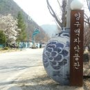 방산두타연농장 | 양구 가볼만한곳 양구백자박물관-방산면