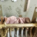 의안로240번길16 네이버블로그