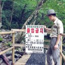 국골민박 이미지