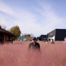 바람새마을 이미지