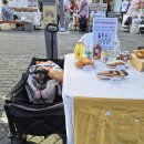 펫 소울메이트 이미지