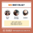 헤어, 지지 말자 이미지