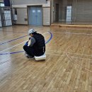 전북체육관 이미지