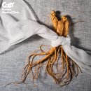 코비한의원 이미지