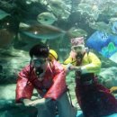 (주)에스제이켐 이미지