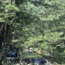 엄둔밸리 | 영월 엄둔밸리 계곡펜션캠핑장 서울 근교 계곡 추천