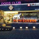 맘동물병원 이미지