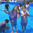 궁평초등학교 이미지