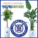 서울투탑정형외과재활의학과의원 | [서울대학교 의과대학] 출신 신경과 재활의학과 병원 개원 축하 화분