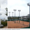 배산체육공원 축구장 이미지