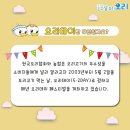 오늘은오리먹는날 이미지