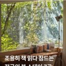 스테이7 이미지