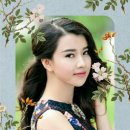 눈부신아침 이미지