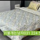 이불개는남자 이미지