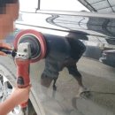 스포렉스 세차장 이미지