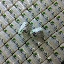 강산메디칼 이미지