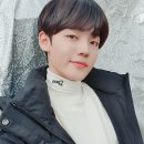 붐붐 이미지