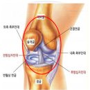 마인드휘트니스 옥동점 | [울산 헬스/남구 헬스/울산pt] 십자인대 파열 후 운동진행 할 수 있을까?