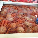 오이소홍게무한리필 이미지