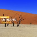 나미비아 여행 : 나의 오랜 버킷리스트, 나미비아 사막 데드블레이 투어 후기
