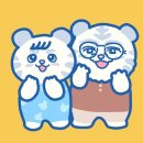 문프 2030여성 지지자들이 문팬분들을 위해 준비한 썬캡&amp;만드는법 이미지