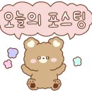 안부플라워 이미지