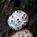 황토밥상 이미지