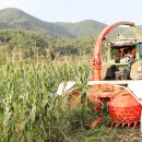 보성사료 이미지