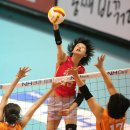 도약체육관 이미지