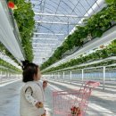 화순농장 이미지