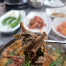 울릉도엉겅퀴흑염소