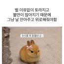 왈라 네이버블로그