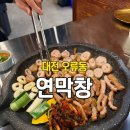 1685 | 대전 오류동 맛집 연막창 서대전역 근처 막창 맛집 솔직 후기