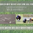 양지카카오골프
