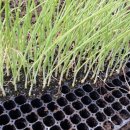 사선대농장 이미지