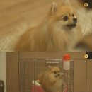 바라