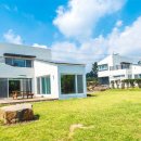 호호아이 이미지