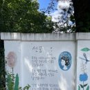자연공원 | 공주여행4. &lt;나태주 풀꽃문학관&gt;&lt;공주하숙거리&gt;&lt;연미산자연미술공원&gt; 후기.