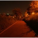 삼거대공원 이미지