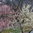 웅동주차장 이미지