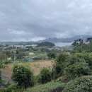 통영옻칠미술관 | [2025년 전시 관람] 통영 옻칠 미술관_251007