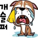 편백세상 이미지