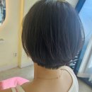 디헤이헤어 | 울산북구미용실 디헤이헤어에서 단발컷트 하고 온 후기