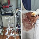 안산서비스 | 안산특수청소 믿고 맡기는 전국 대응 서비스 후기